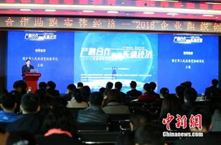 2018企业组织创新峰会在保定中关村创新中心成功举办，聚焦信息技术咨询服务