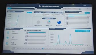 大数据如何重塑金融风控 一家信息技术咨询企业的实战解析